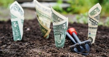 Dans quel type de SCPI faut-il investir ?