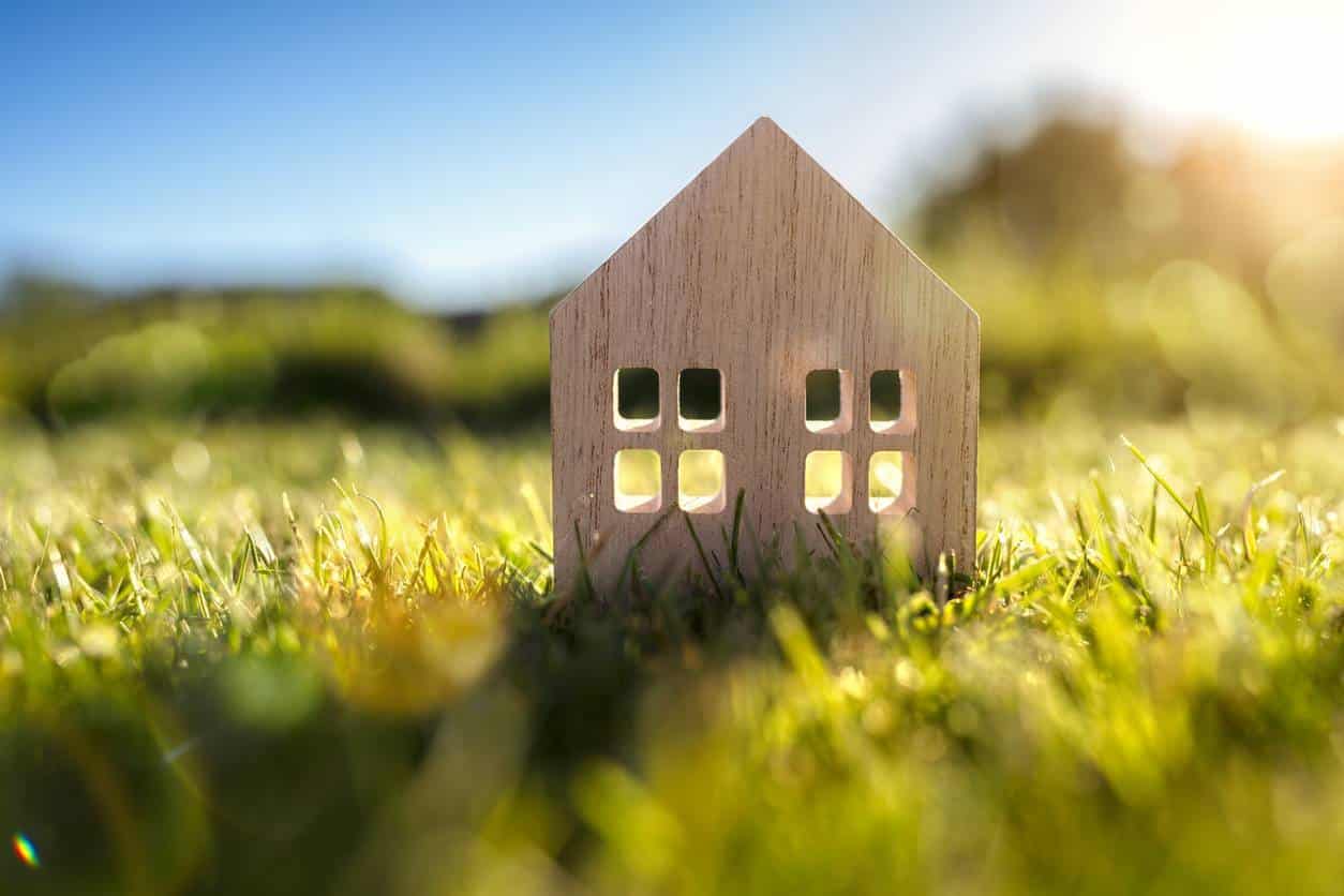 immobilier neuf