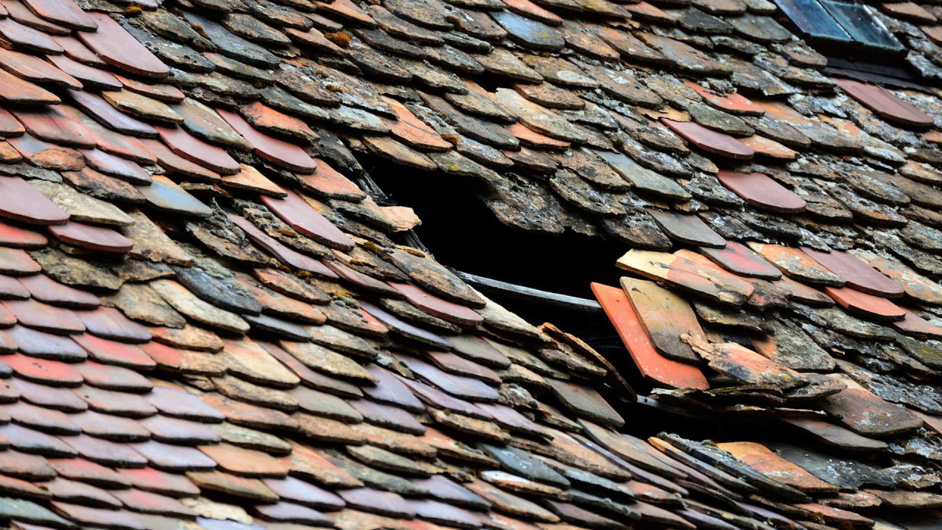 Pourquoi choisir un professionnel pour ses travaux d'étanchéité ?