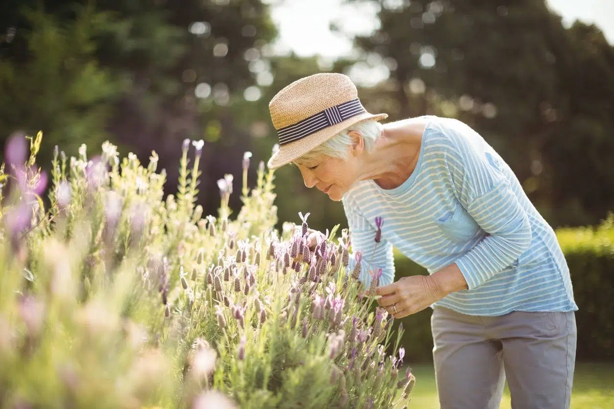 gardiennage de maison services seniors